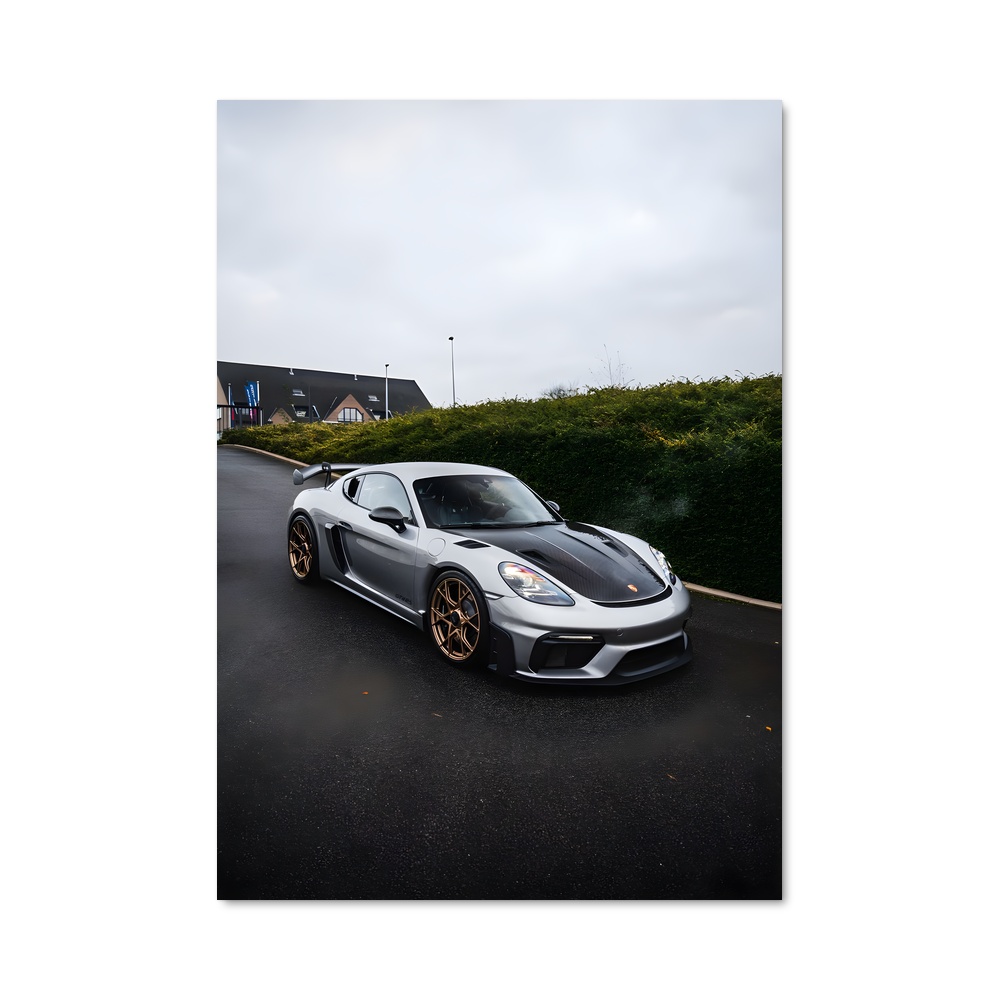 Poster Élégant Cayman GT RS